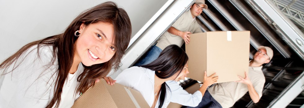 Professional Removalists Liverpool